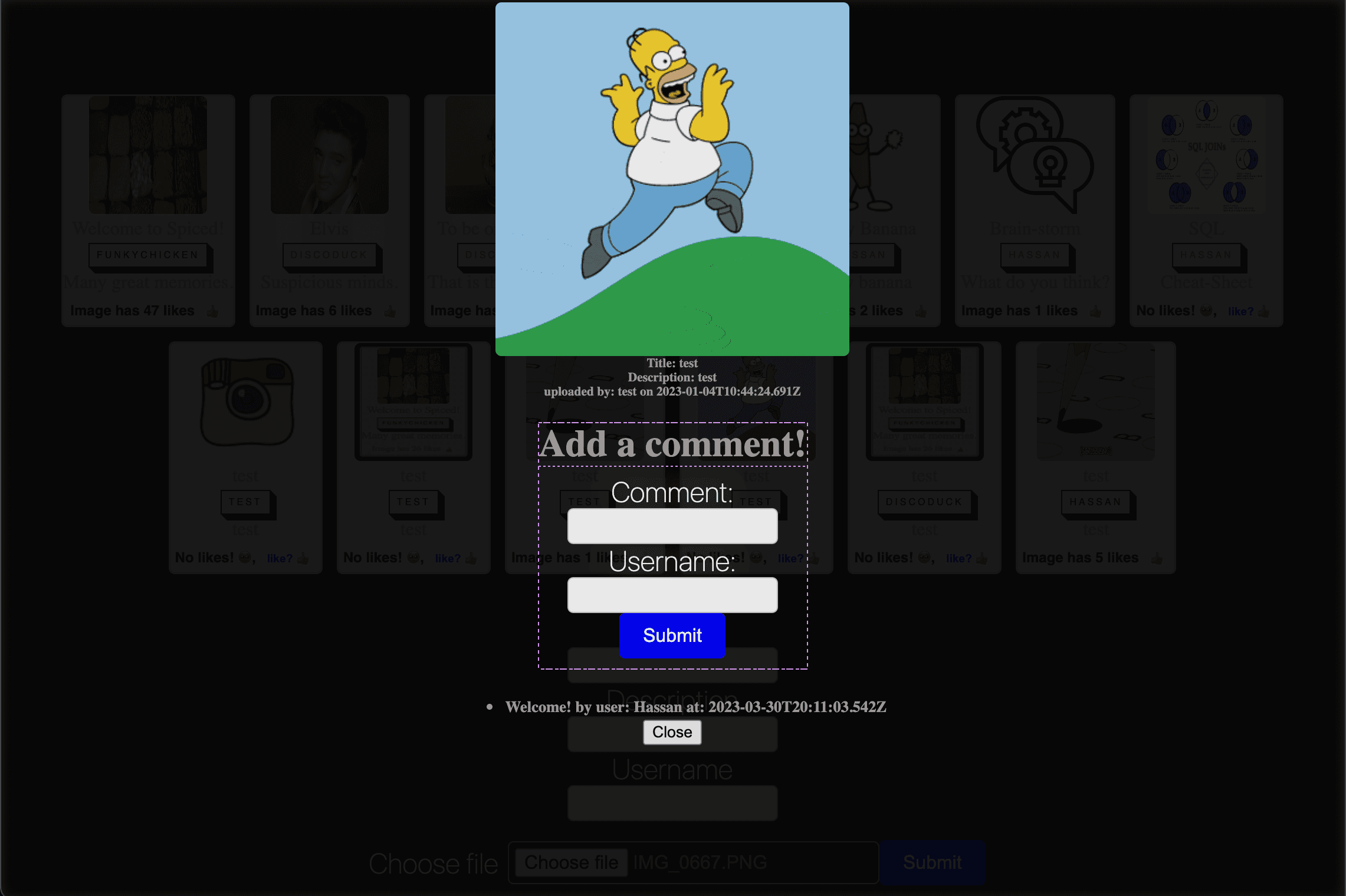 pixla vue.js image board one page application click to enlarge and add comments modal component